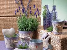 Decorazione primavera Blumen Hochkofler