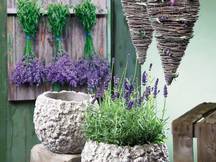 Hochkofler Blumen Alto Adige Primavera